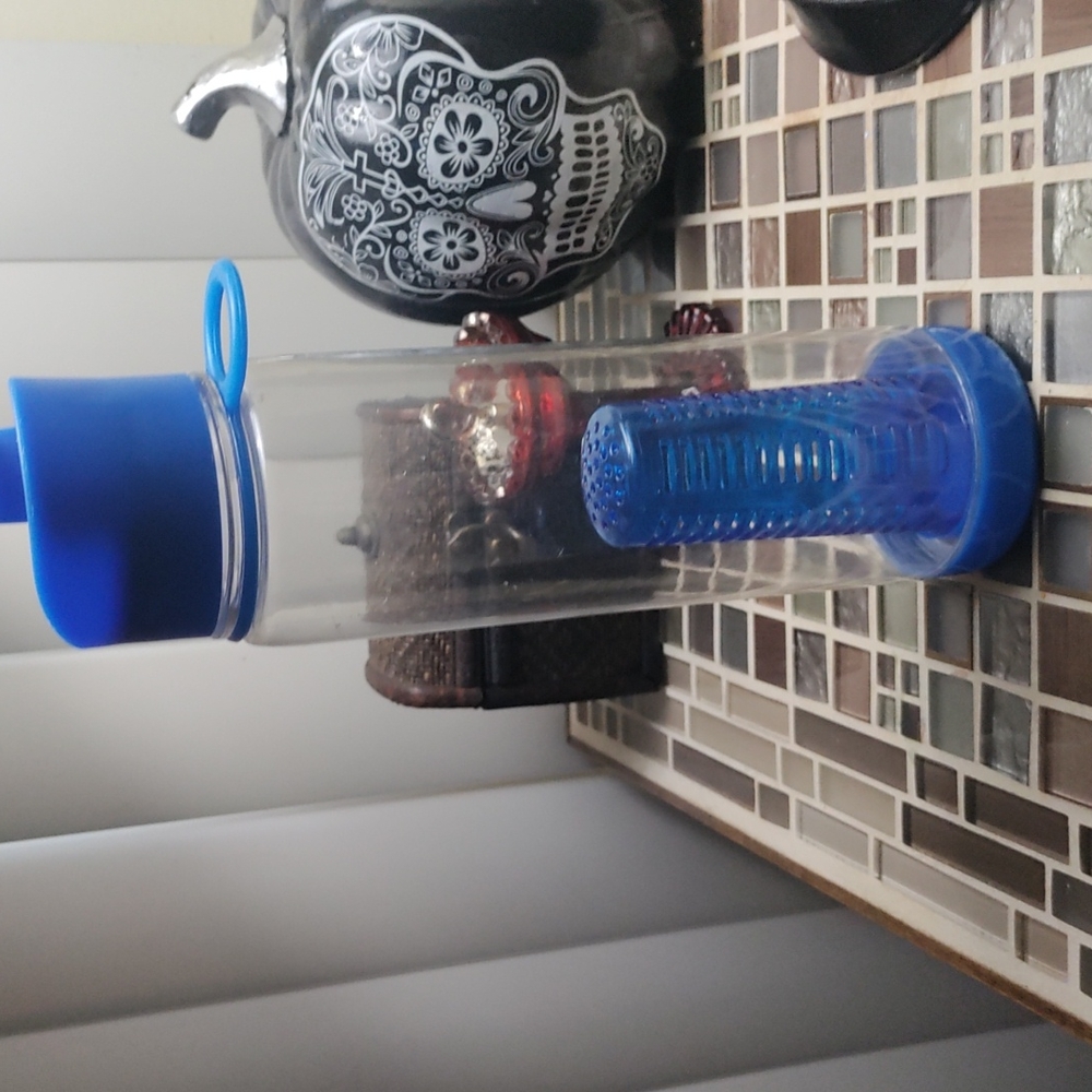 Fruit infuser bottle-$5-add on